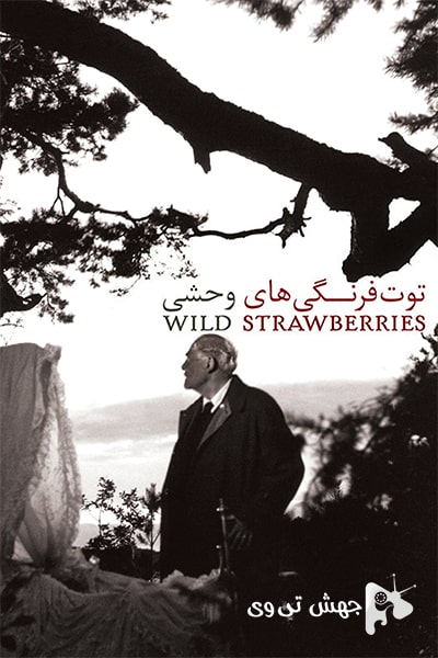 دانلود فیلم Wild Strawberries 1957