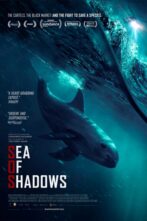 دانلود فیلم Sea of Shadows 2019
