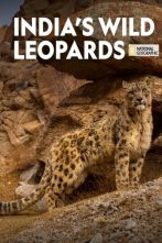 دانلود فیلم India's Wild Leopards 2020