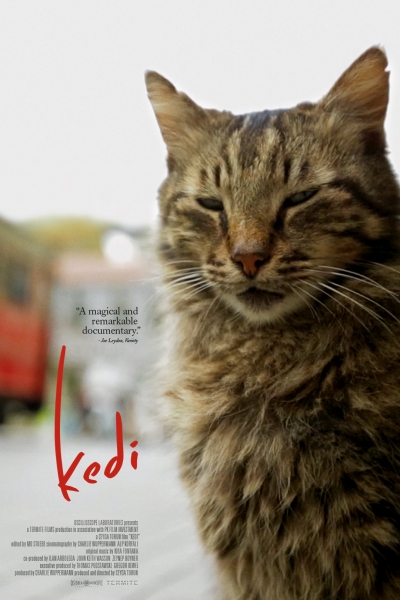 دانلود فیلم Kedi 2016