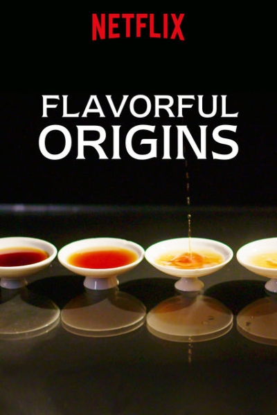 دانلود سریال Flavorful Origins 2019