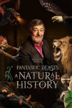 دانلود فیلم Fantastic Beasts: A Natural History 2022