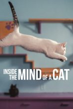 دانلود مستند Inside the Mind of a Cat 2022