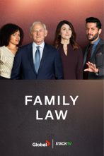 دانلود سریال Family Law 2021