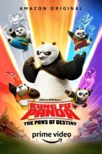 دانلود انیمیشن سریالی Kung Fu Panda: The Paws of Destiny 2018