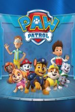 دانلود انیمیشن سریالی PAW Patrol 2013