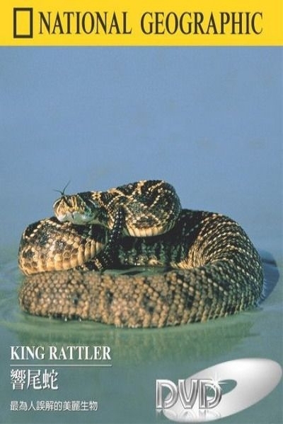 دانلود فیلم King Rattler 2004