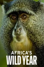 دانلود سریال Africa's Wild Year 2021