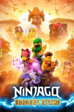 دانلود انیمیشن سریالی Ninjago: Dragons Rising 2023