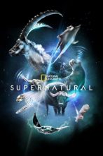 دانلود سریال Super/Natural 2022