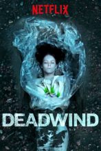 دانلود سریال Deadwind 2018–2021