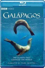 دانلود سریال Galapagos 2006
