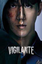 دانلود سریال Vigilante 2023