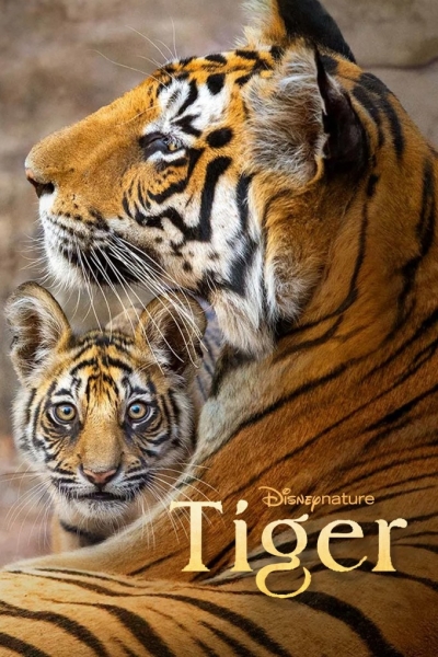دانلود مستند Tiger 2024